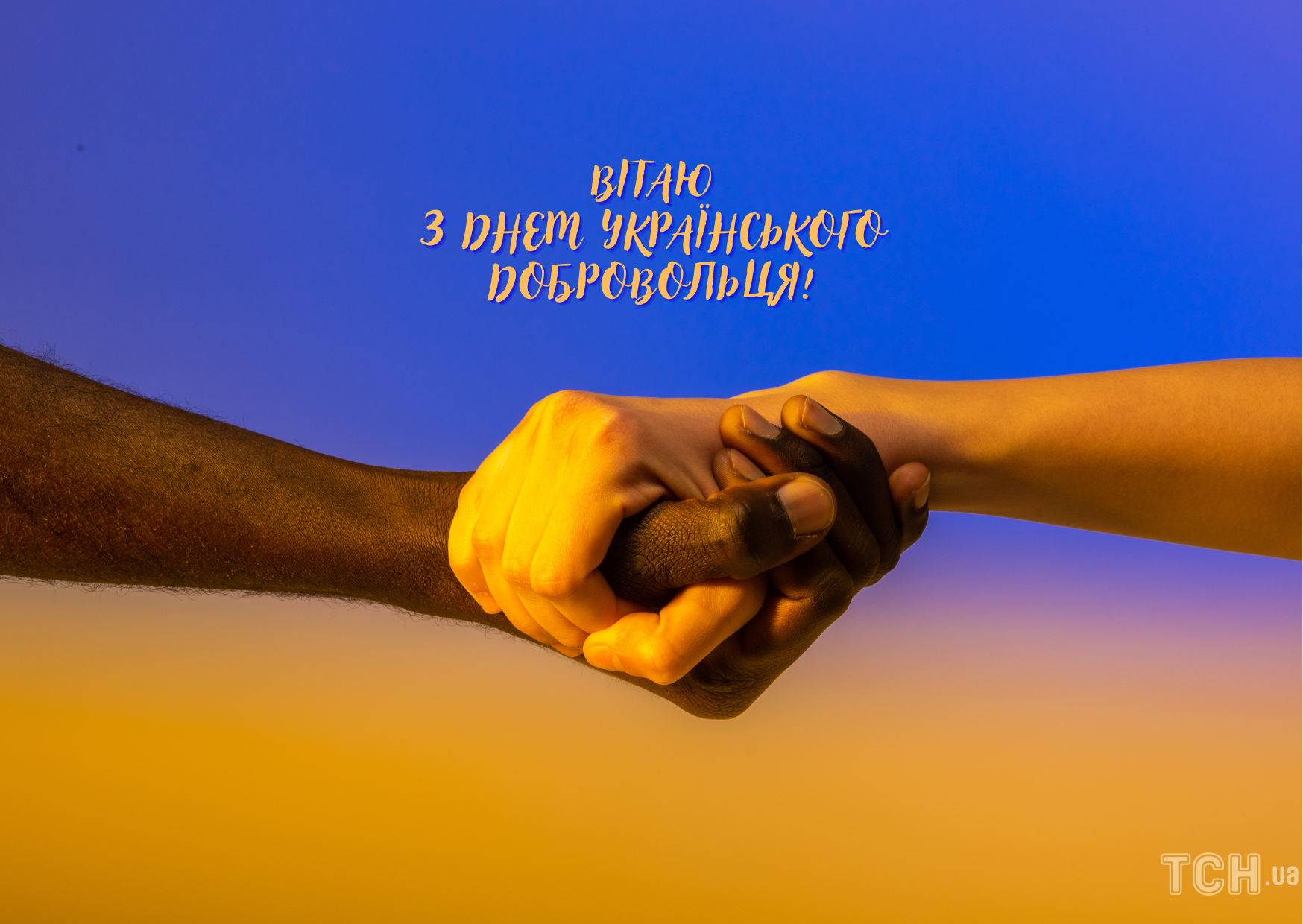 День українського добровольця: картинки / © ТСН.ua