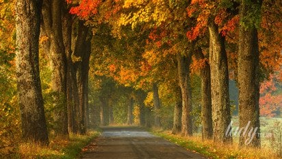 Гороскоп на 12–13 листопада