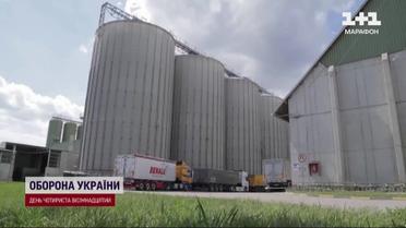 Словаччина заборонила імпорт зерна, а польські фермери в обуренні: що відбувається в ЄС 