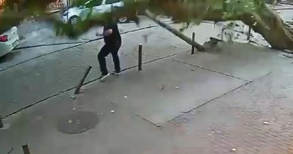 Бразилець, що дивом вижив