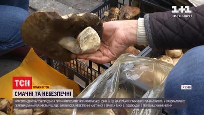 ТСН выяснила, безопасно ли есть грибы из Чернобыльской зоны