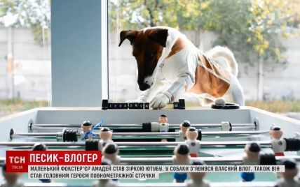 "Порода своенравная": самый известный пес Украины "открыл" собственный канал на YouTube