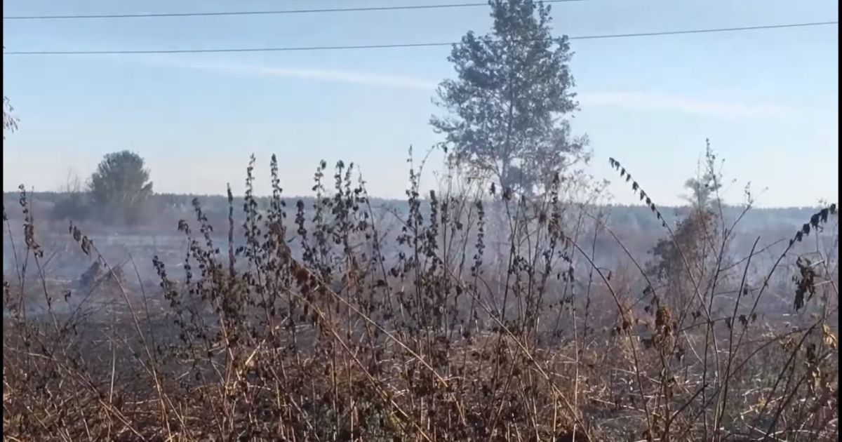 Скріншот із відео