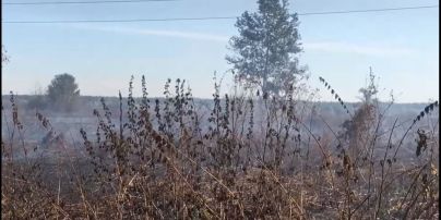 Все в дыму: под Киевом масштабно горит лес и торфяники