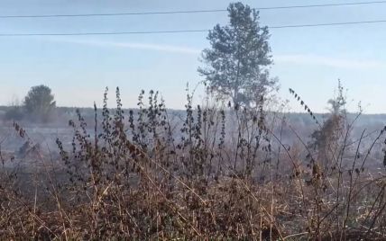 Все в дыму: под Киевом масштабно горит лес и торфяники