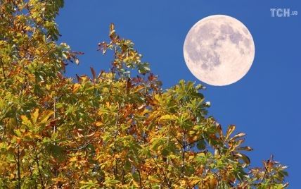 Время перевести дух: лунный гороскоп на сентябрь 2017 года