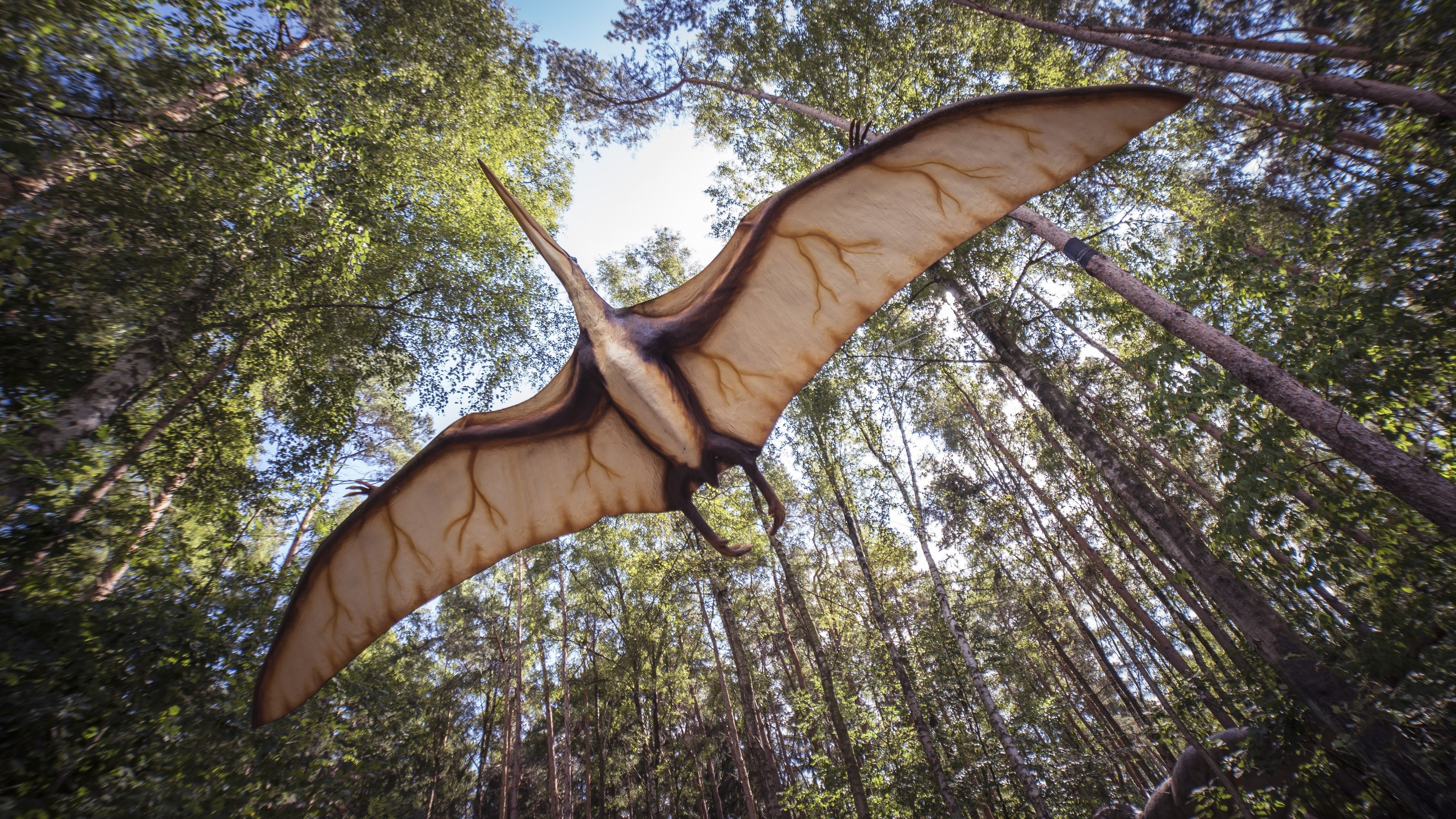 Exit code 1 pterodactyl