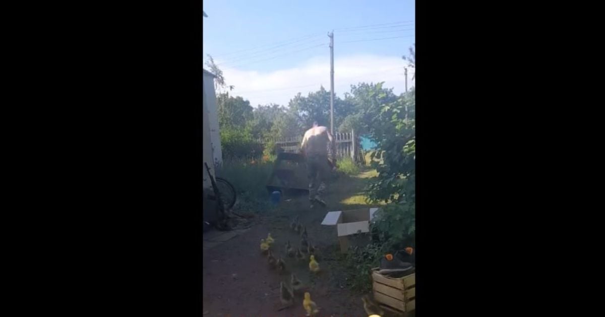 "Россияне нападают, в атаку": в ВСУ показали, как готовят новейшее "биооружие" против оккупантов (видео)