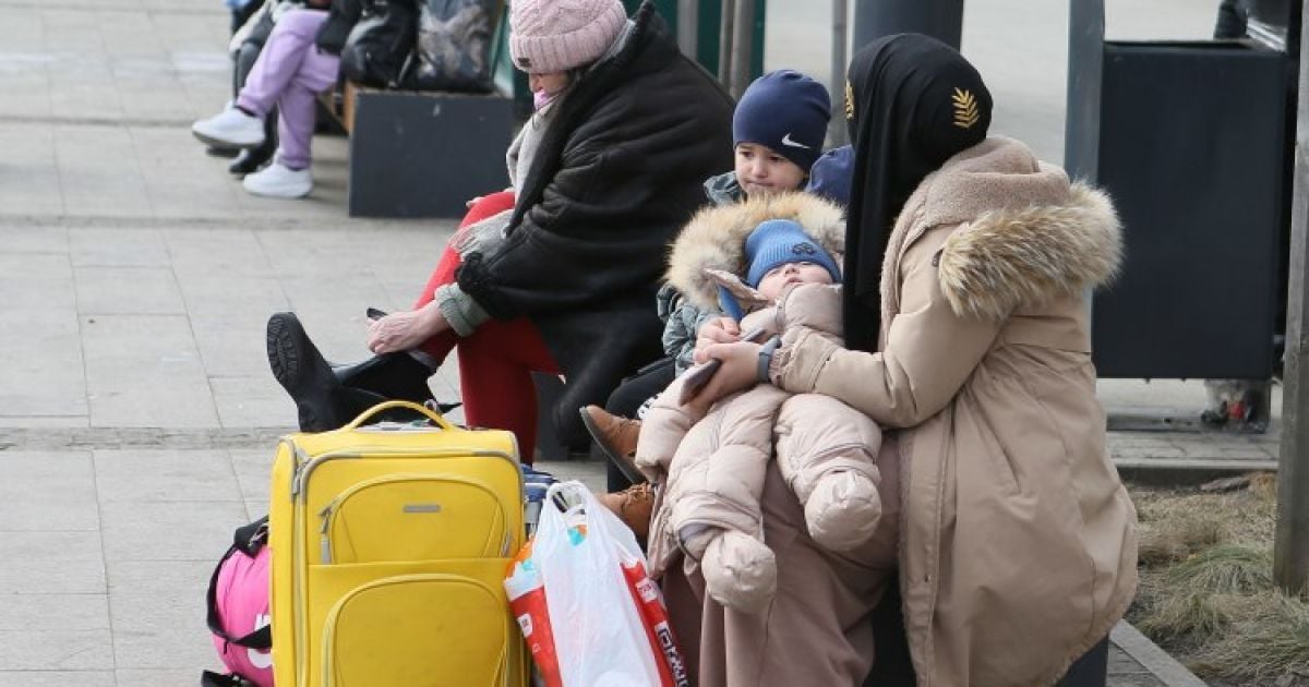 Условия получения бесплатного проезда
