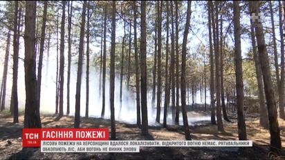 На Херсонщині вдалося локалізувати масштабну лісову пожежу