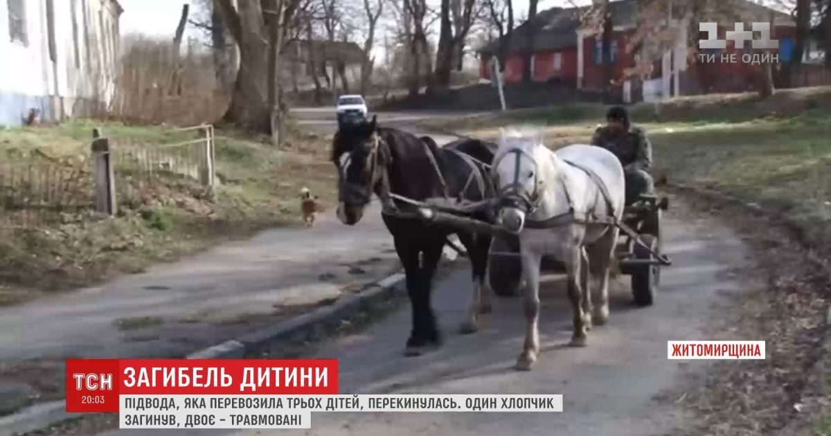 9-річний хлопчик загинув, опинившись під підводою з кіньми, на якій перевозили дошки