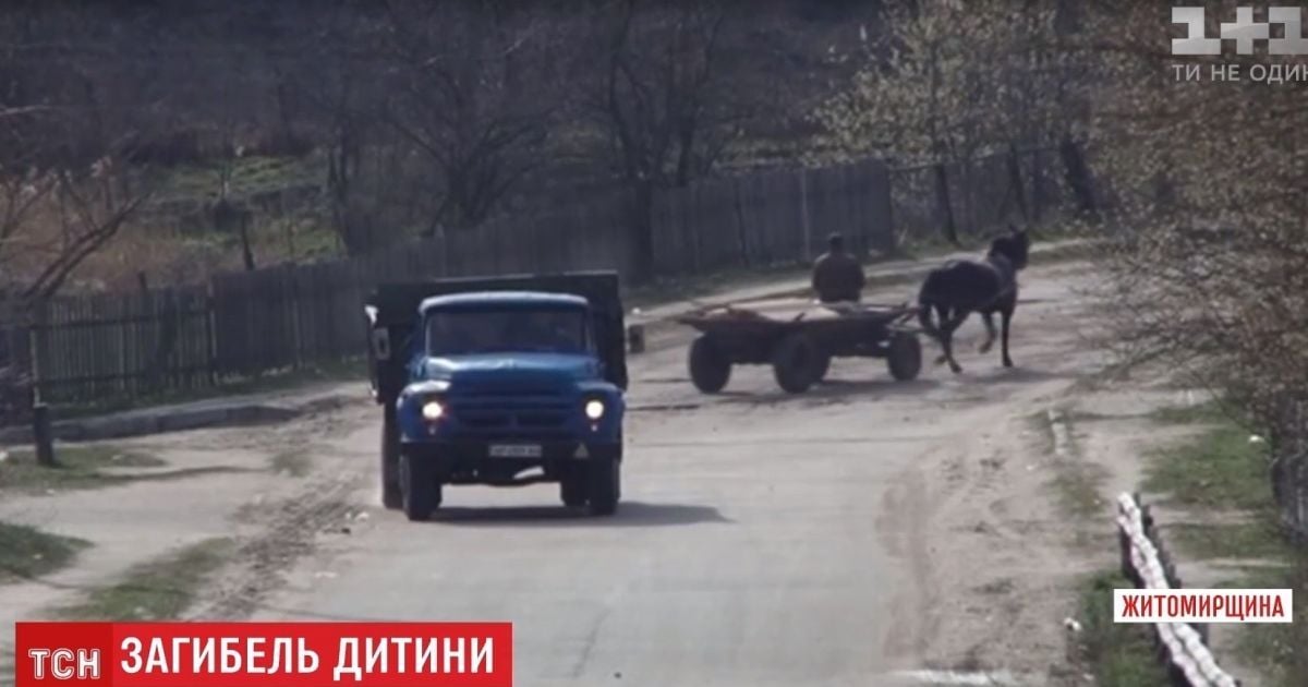 Телега с лошадьми убила 9-летнего мальчика на Житомирщине
