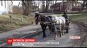 9-летний мальчик погиб, оказавшись под телегой с лошадьми, на которой перевозили доски