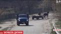 Підвода з кіньми вбила 9-річного хлопчика на Житомирщині