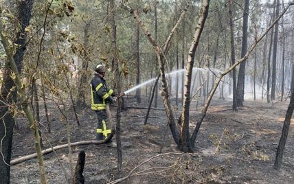 Лесные пожары в Луганской области: спасатели заверили в отсутствии угрозы для населенных пунктов