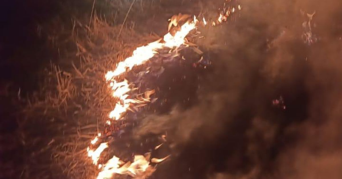 Вогонь знищив 66 будівель, і надалі кількість зростає.