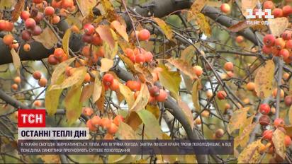 Новости Украины: сегодня будет теплая и ветреная погода