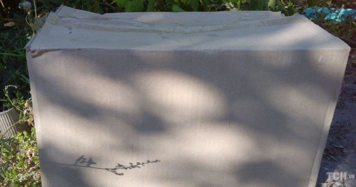 Младенец в коробке: что известно о судьбе новорожденного мальчика, которого в Кривом Роге выбросила мать