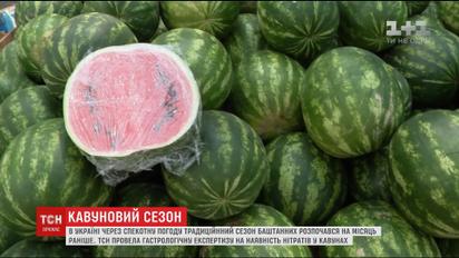ТСН проверила на содержание нитратов арбузы с рынков и супермаркета