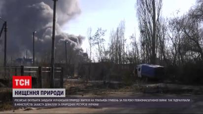 Шалені цифри: експерти підрахували збитки, завдані українській природі через війну