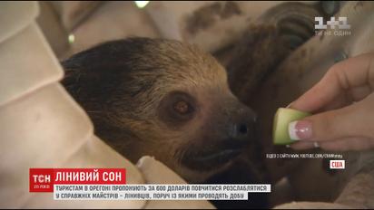 В Орегоні туристам пропонують за 600 доларів повчитись у лінивців правильно розслаблятись