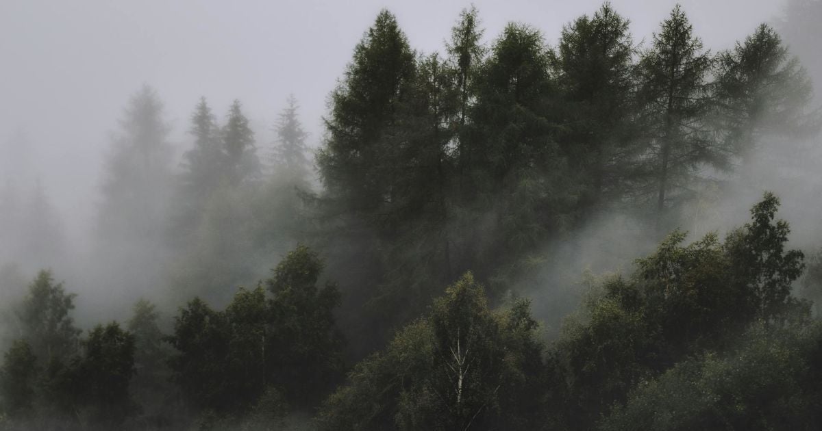 В Украине объявили штормовое предупреждение из-за тумана