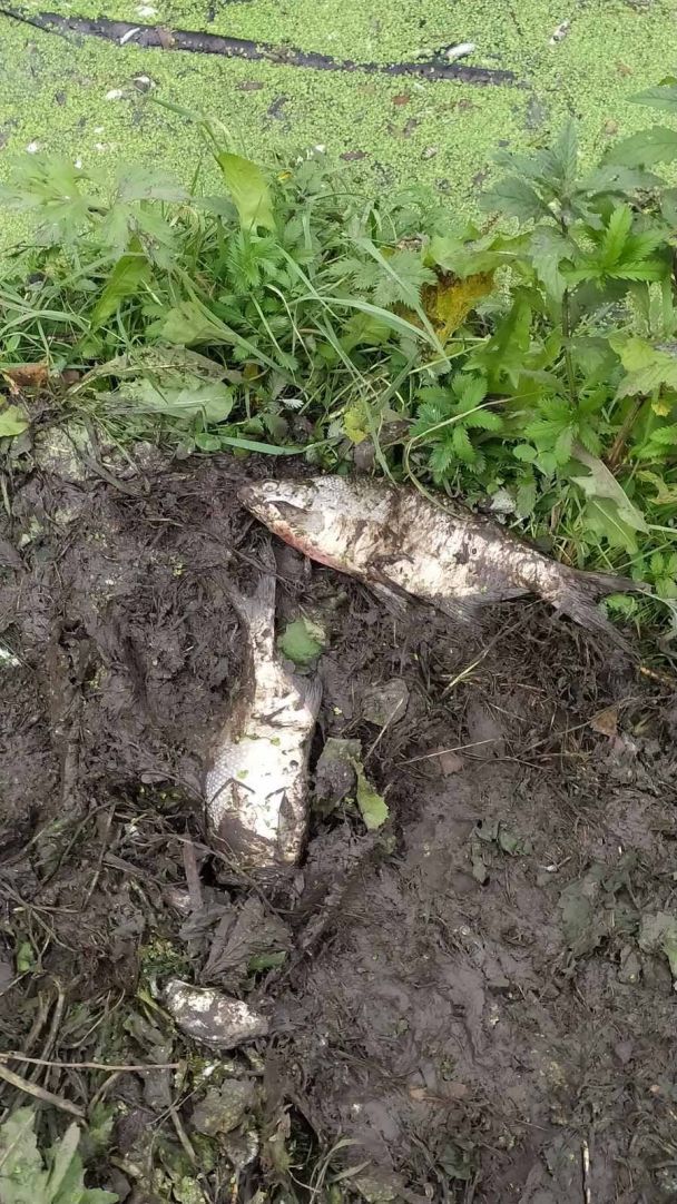 Фото: Хмельницький рибоохоронний патруль