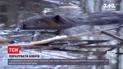 В природном парке на Волыни взялись за перепись бобров