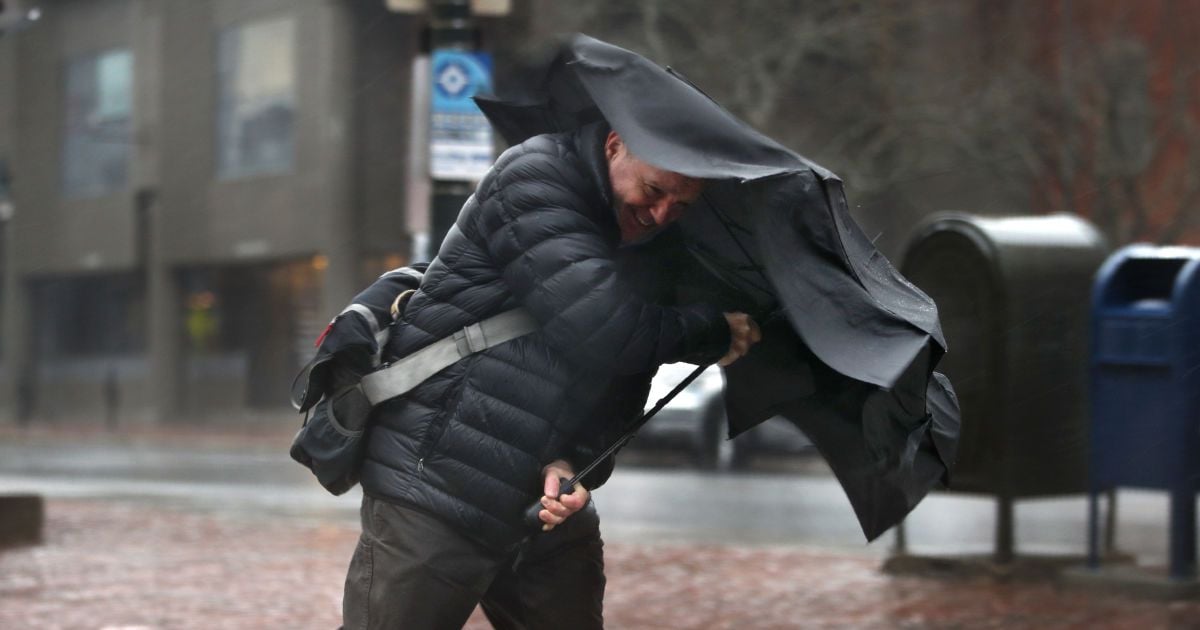 Синоптики предупредили об усилении ветра в Киеве