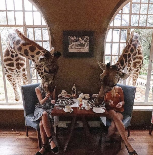  / © www.thesafaricollection.com