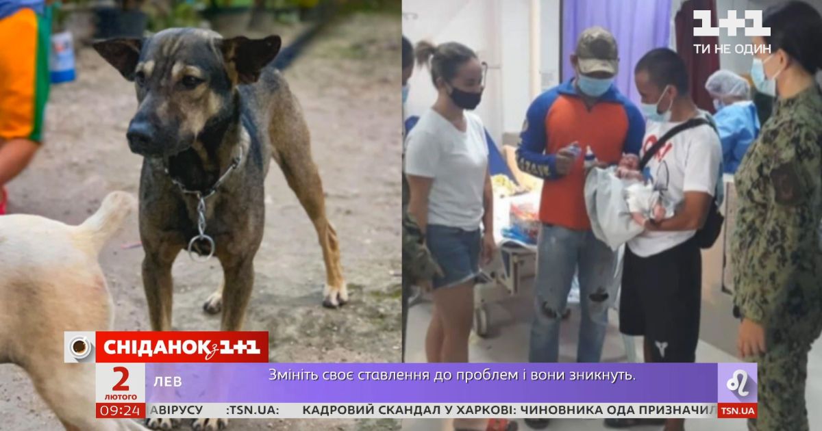 Пес спас новорожденного от смерти - трогательная история спасения