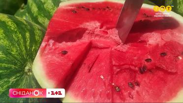 До 500 гривен за один арбуз: какой рынок бахчевых без товара из Херсона