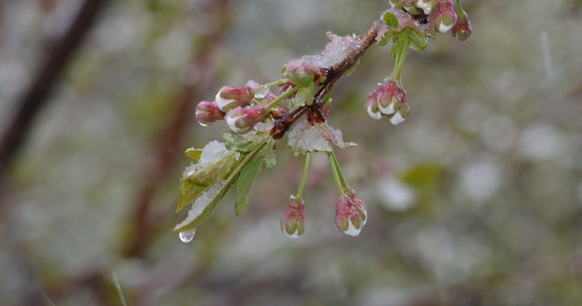 Понедельник, 24 апреля, обещает быть теплым