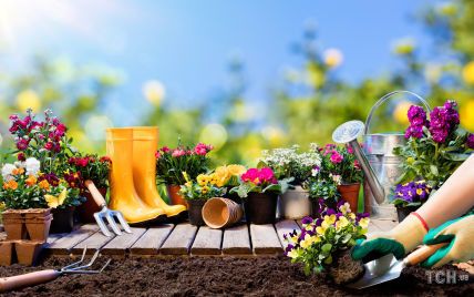 С чего начать и что нужно успеть сделать весной: советы начинающему садоводу