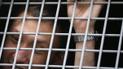 Российская полиция слова "Иван Голунов" назвала антиправительственным лозунгом