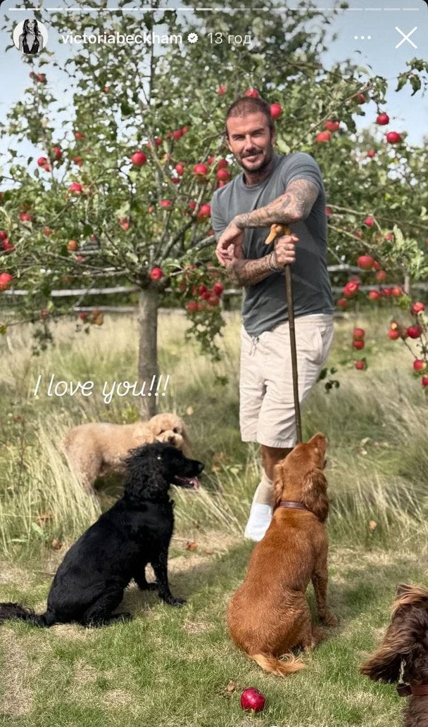 Девід Бекхем у своєму саду з яблунями та улюбленими собаками.