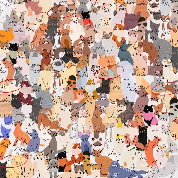 Розв’язання головоломки. Фото: Kitty Bingo