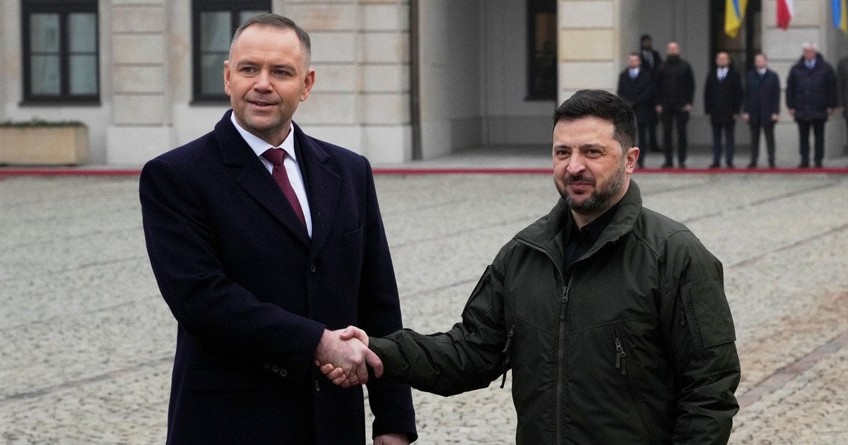 Кароль Навроцький і Володимир Зеленський.