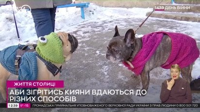 Киянка зв'язала светри для собак, щоб ті не замерзли