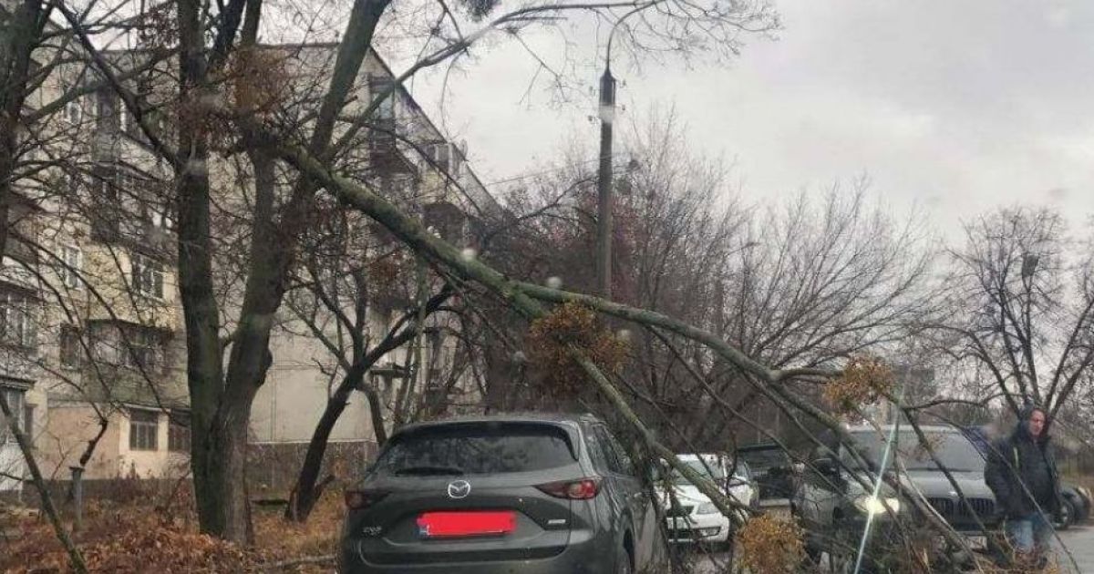 Разбитые автомобили, поваленные деревья и светофор, оборванные электропровода: непогода наделала беды в Украине