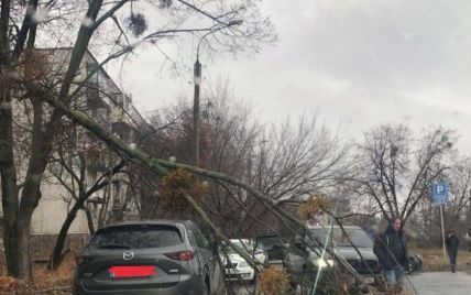 Разбитые автомобили, поваленные деревья и светофор, оборванные электропровода: непогода наделала беды в Украине