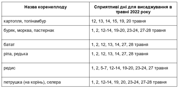 Посівний календар на травень 2022 року: коренеплоди