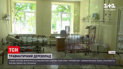 Новости Украины: во Львове на 8-летнего мальчика упало трухлявое дерево