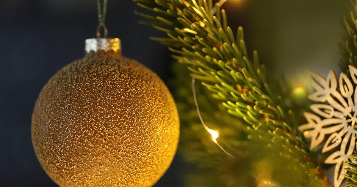 Як вибрати живу ялинку на Різдво і Новий рік