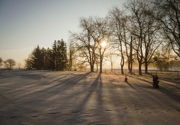 Народные приметы 23 декабря / © unsplash.com