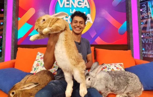 Хлопець створив найбільших у світі кроликів / Фото: Jam Press