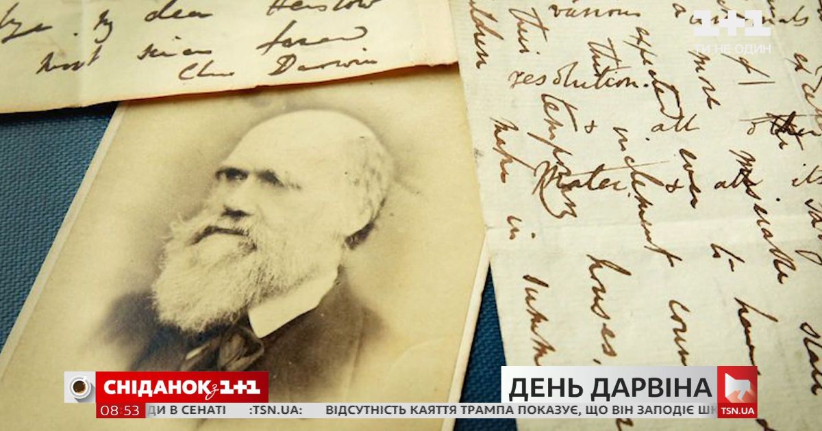 Перевернул представление о зарождении жизни на планете: что следует знать про чарльза дарвина