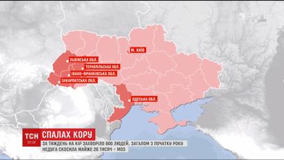 За неделю корью в Украине заболело 800 человек