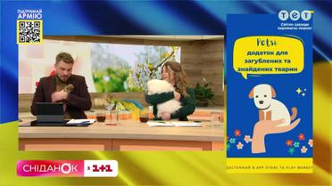 "1+1" прихистили загублених тварин з Бучі
