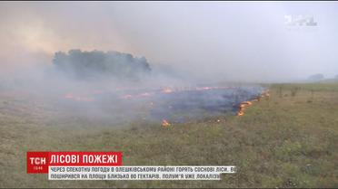 На Херсонщине сохраняется высокий класс пожарной опасности